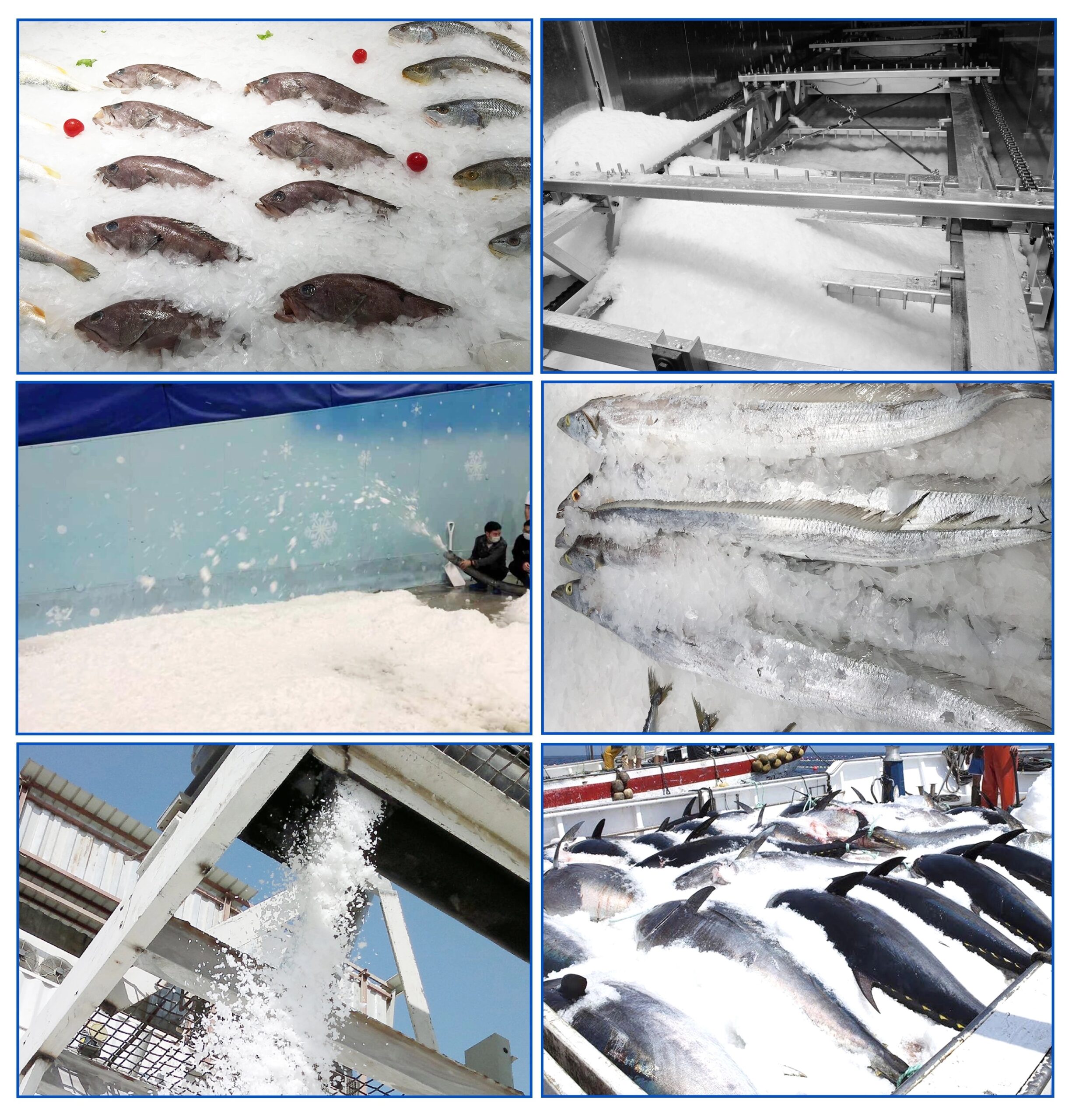 Flake ice machine applications in seafood preservation, food processing, medical cooling, and industrial temperature control